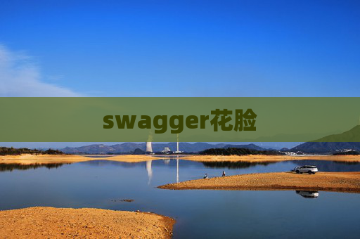 swagger花脸 swagger花脸